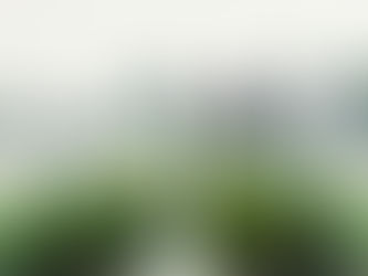 How using eco friendly products is saving human lives