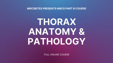 THORAX ANATOMY & PATHOLOGY ONLINE COURSE