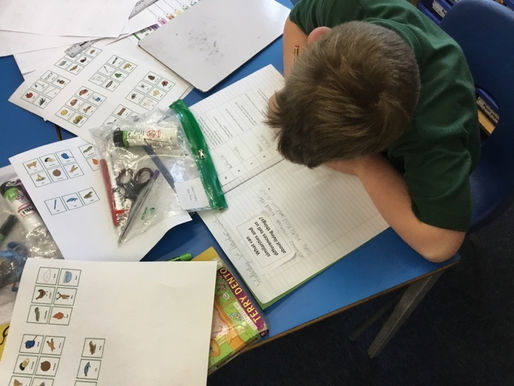 Class Three- Science and assessment