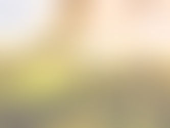 마음의 눈을 밝히사 5