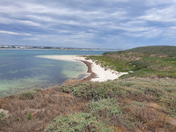 lancelin