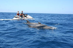 jet ski
