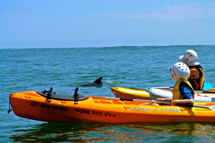 dolphin lancelin.jpg