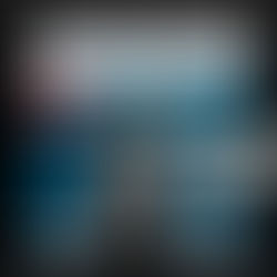 LEGO 30420 Polybag - Harry Potter & die fliegende Hedwig