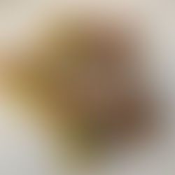 LEGO 30548 Polybag – „Freies Bauen: Vögel“ im mini Review