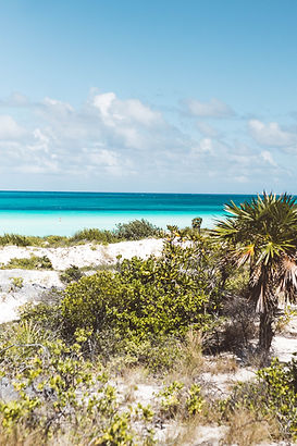 cayo coco00472.jpg