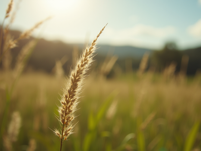 Como Regularizar Seu Imóvel Rural Legalmente