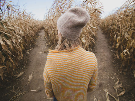 From Engineer to Manager: Is Leadership the Right Career Path for You?