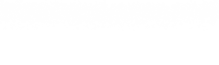 effet_neige_web.png