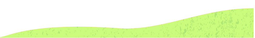 courbe_verte_2.png