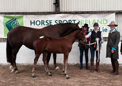 Carrafarm Champagne Problems ISH(TIH)