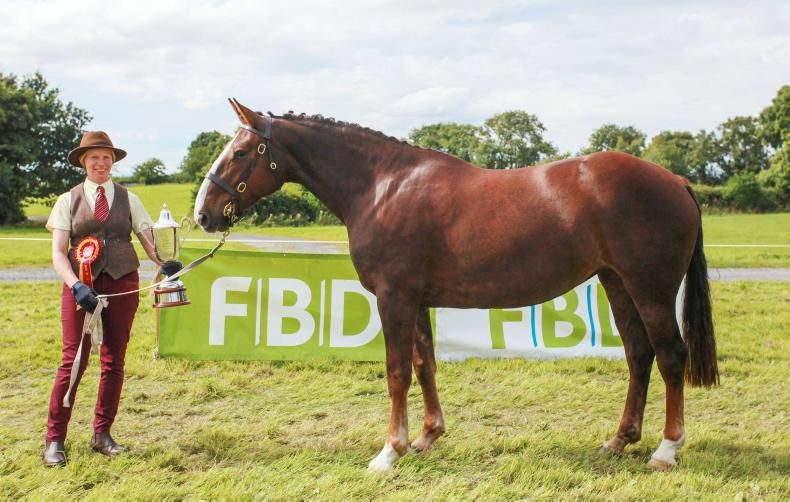 Mare of the Future 2015