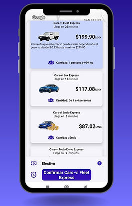 cars-vi Fleet, cars-vi Lux, cars-vi Envio, cars-vi Moto Envio