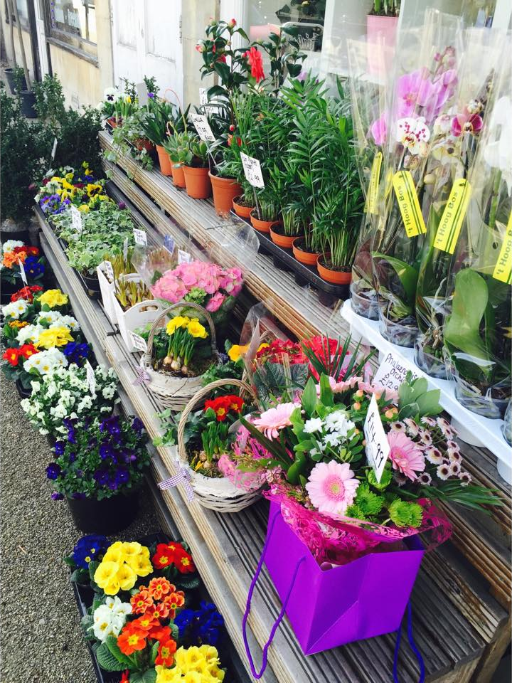 Sunday 11th March 2018 Mothers Day!
