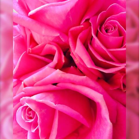 Sunday 11th March 2018 Mothers Day!