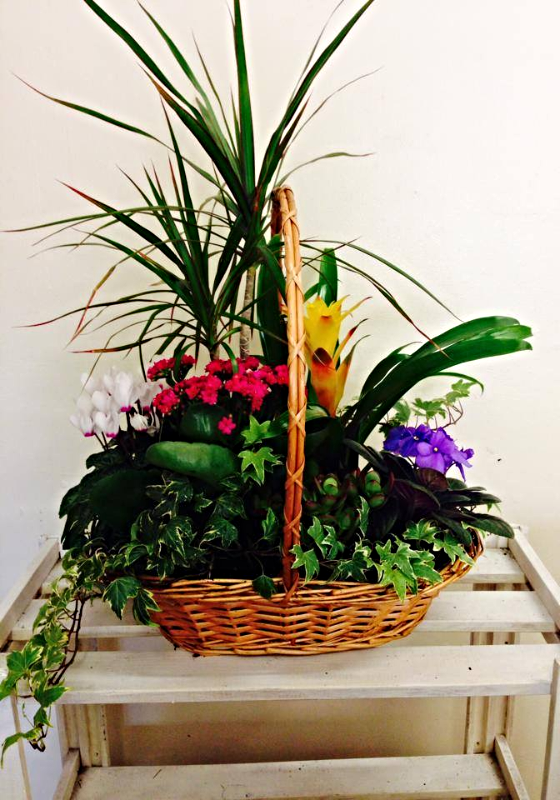 Lovely Planted Baskets