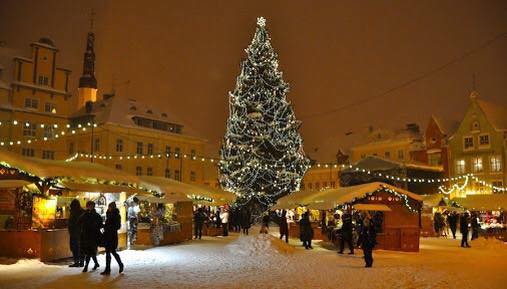 Christmas Trees Now Available