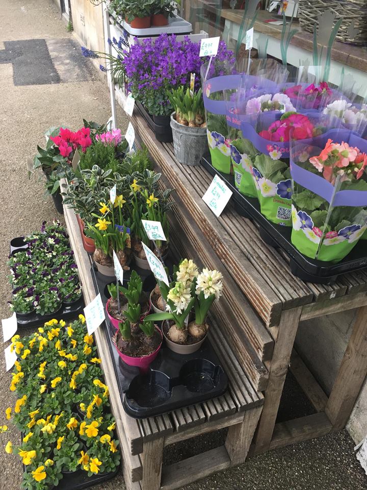 Mother's Day - 31st March 2019
