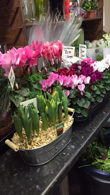 In Stock Ready for Mother's Day!