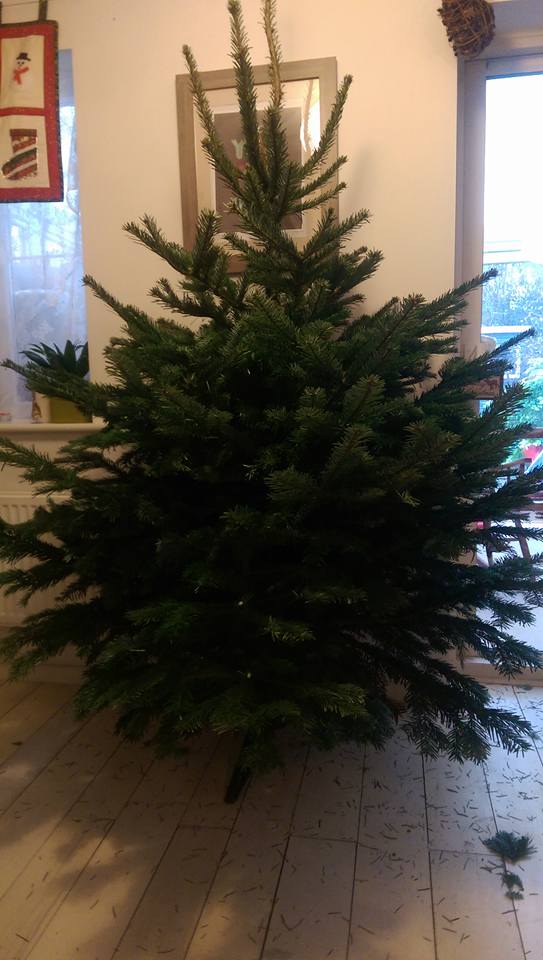 Customer Christmas Tree (Before)