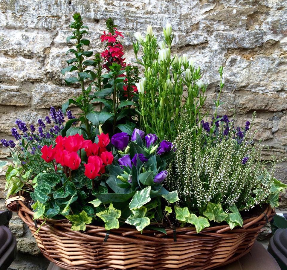 Perfect present for a plant lover!