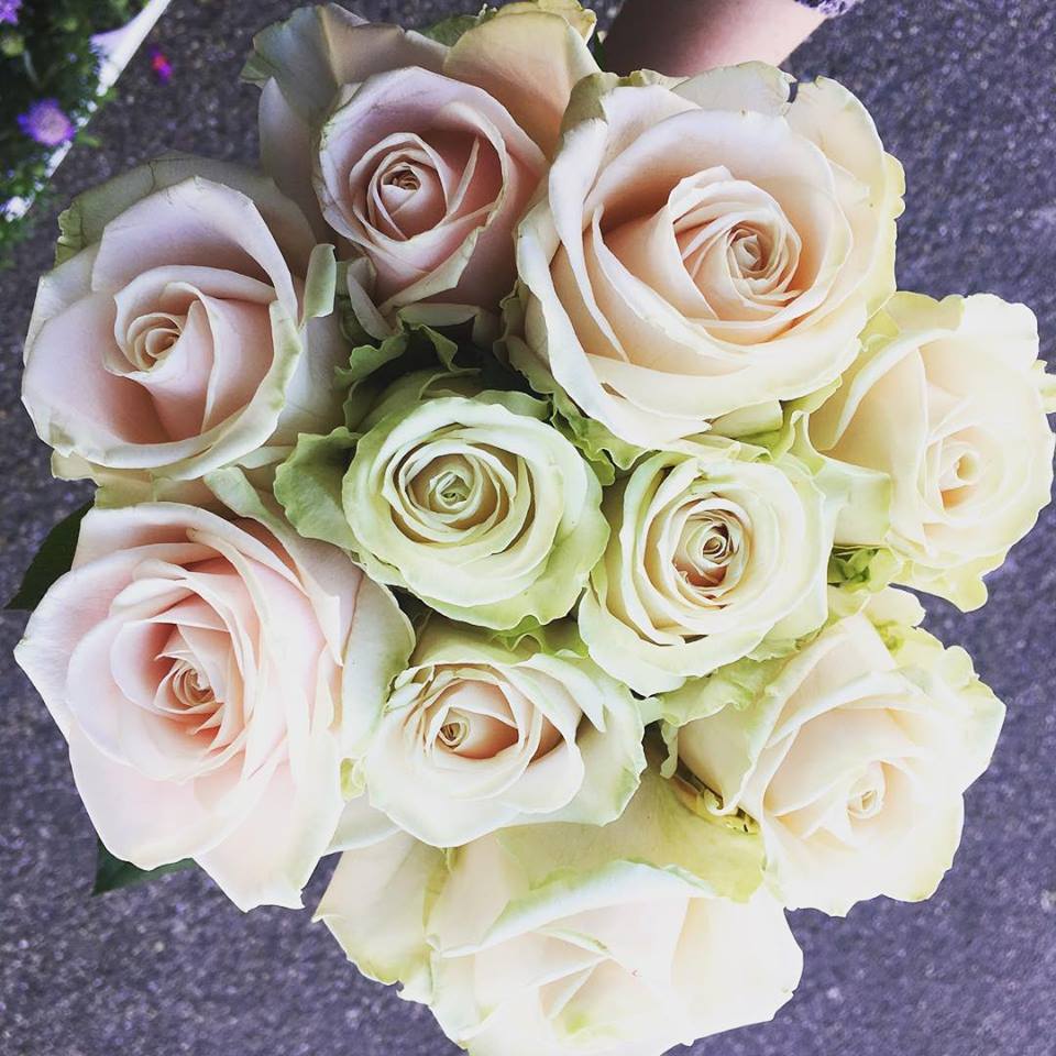 Avalanche Roses
