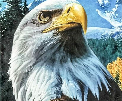 Kingdom Identity...The War Eagles Released!