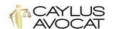 LOGO CAYLUS_Plan de travail 1.png