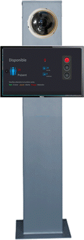 Totem caper_1.gif