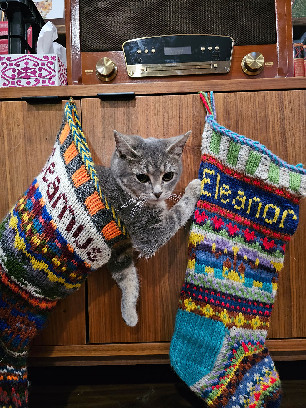 Our new kitten, Pickles, seems to be very appreciative to have a warm home and is beyond tolerant any and all cuddles.