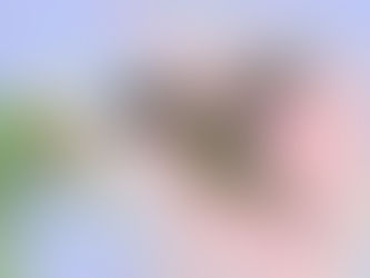 Initiative and Completion