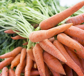 Carrots