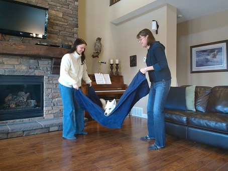 Two women holding a blanket between them with a white dog laying in the blanket being rocked.