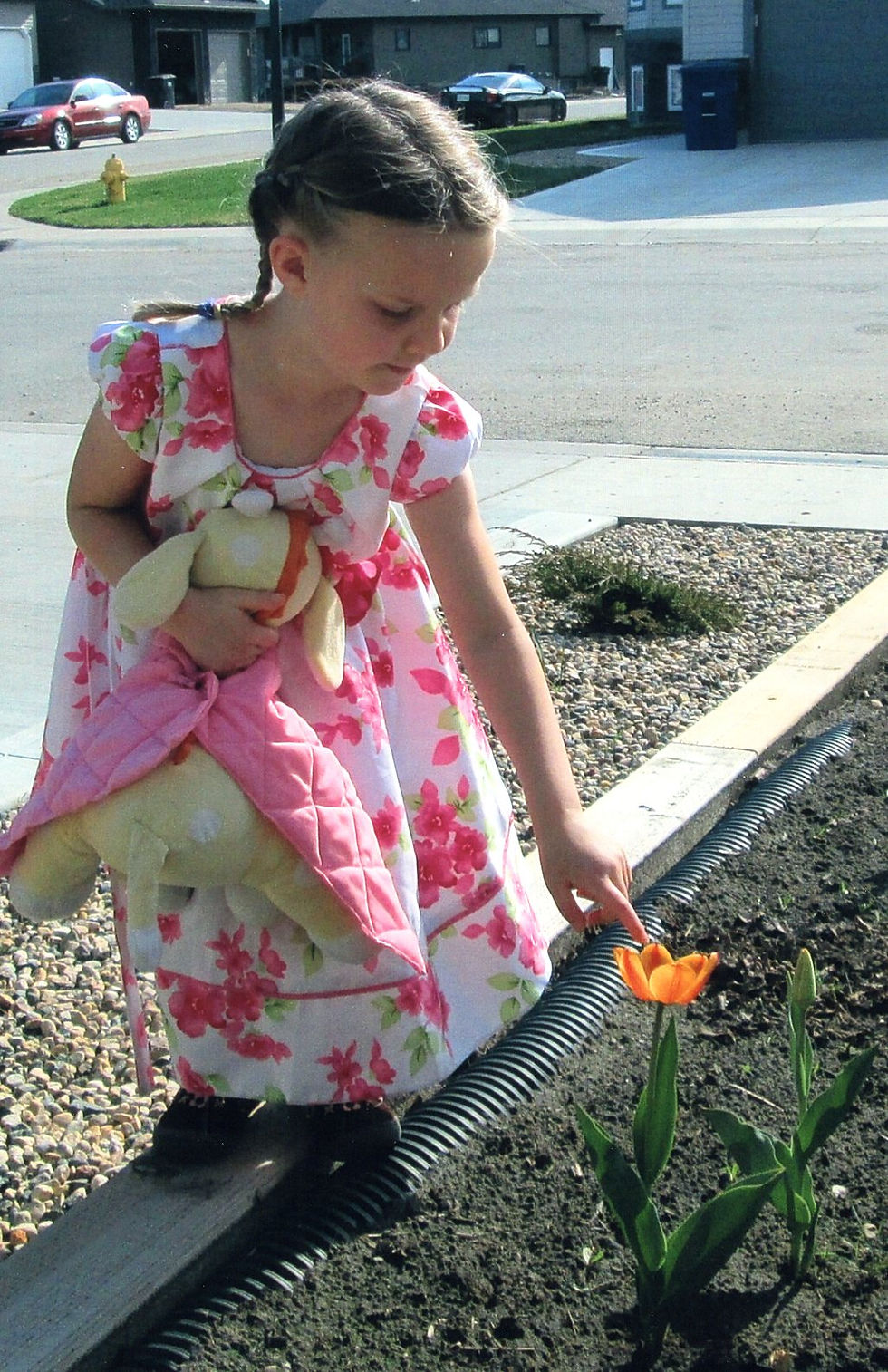 Young girl leaning down to touch a tulip.