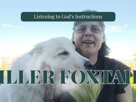 Listening to God's Instructions, Killer Foxtails