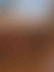 Cut out of a hole in a cardboard box next to the cut out of a raven and dove.Big Box Noah's Ark project. Bible activities for kids_