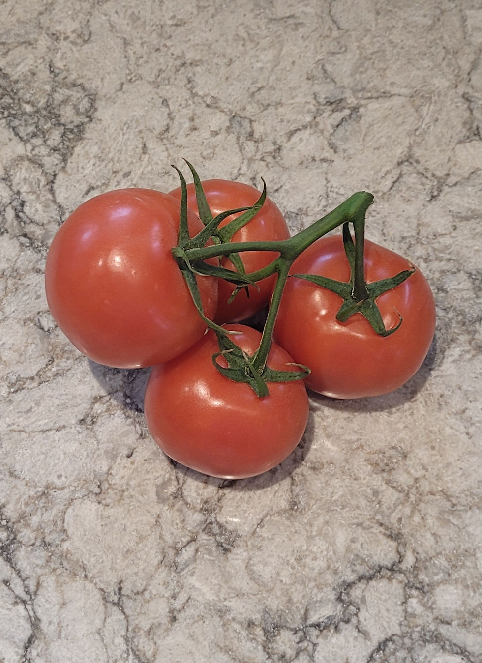 A picture of tomatoes on a vine.