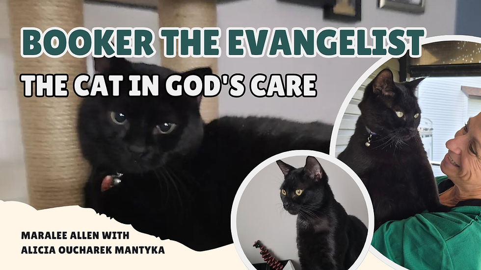 Booker the Evangelist | The Cat in God's Care