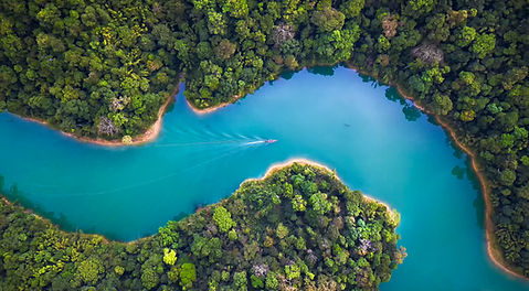 Forest River Bend