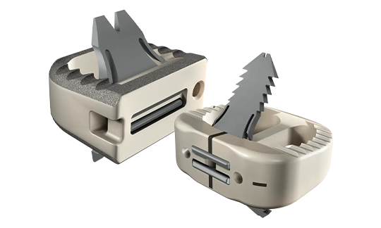 ROI-C, Sistema Cervical Stand-Alone