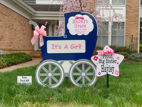 Baby Stork & Carriage Birth Announcement Service (240)863-2873