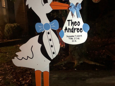 Baby Stork MD (240) 863-2873 ~ Special Delivery Stork Rental ~ Woodbridge, Va