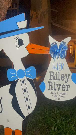 Baby Stork MD Baby Signs (240) 863-2873
