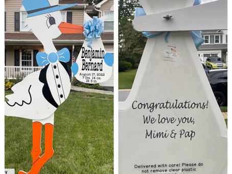 Baby Stork MD (240)863-2873 ~ Stork Rental Sign ~ Eldersburg Maryland