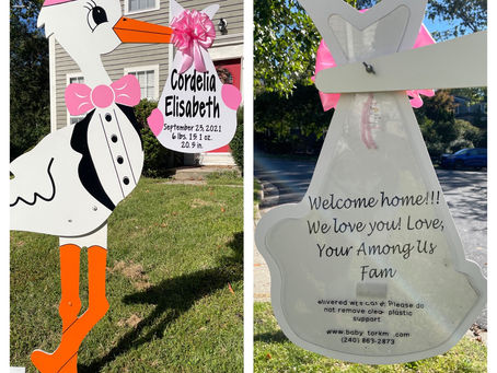 Baby Stork MD (240)863-2873 ~ Gift Message On Your Keepsake Bundle ~ Washington DC