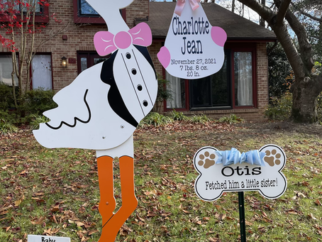 Baby Stork MD (240)863-2873 ~ It’s Girl Stork Rental And The Fur Brother ~ Potomac Maryland