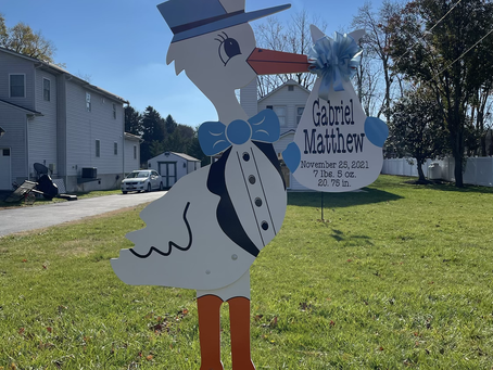 Baby Stork MD (240)863-2873 ~ Welcome Your Family Home ~ Maryland