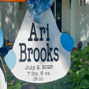 Baby Stork MD (240)863-2873