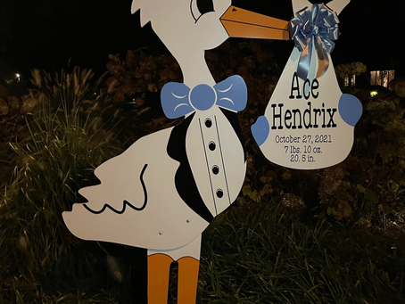 Baby Stork MD (240)863-2873 ~ It’s A BOY Stork Rental ~ Bethesda Maryland