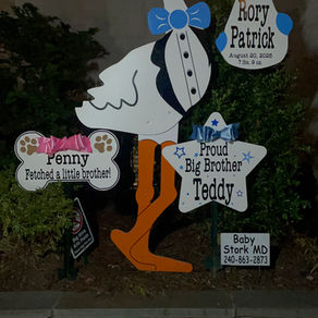 Baby Stork MD (240)863-2873 ~ Welcome Home Everyone ~ Georgetown Washington DC
